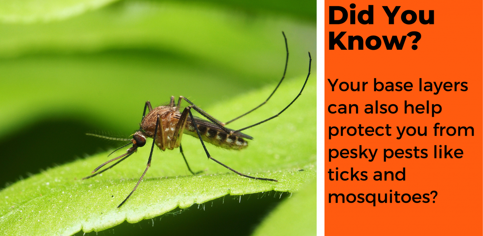 How To Choose The Right Base Layer (Fit, Sizing & Material)