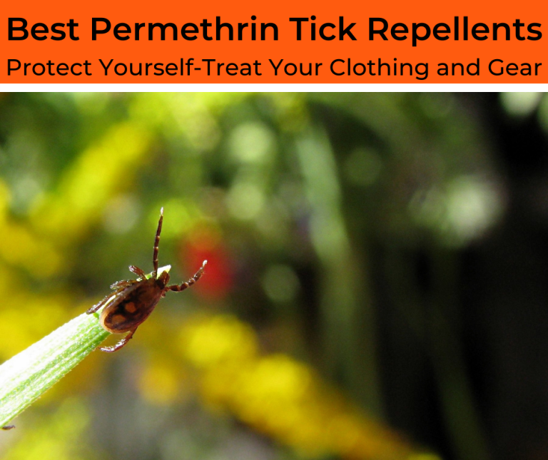 Top 5 Best Permethrin Tick Repellents For Clothing and Outdoor Gear
